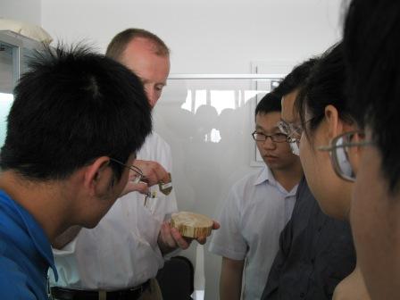 德國RINTECH公司應用科學家來到中國林業(yè)科學院培訓Lignostation年輪密度工作站 德國RINTECH公司應用科學家來到中國林業(yè)科學院培訓Lignostation年輪密度工作站